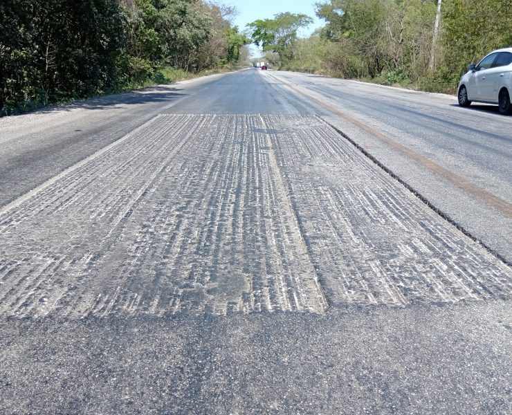 Atatescos marginados por la SICT