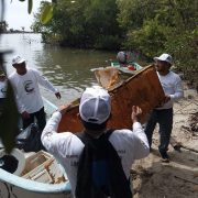 MAAS irá contra empresas de transporte de basura y aguas residuales