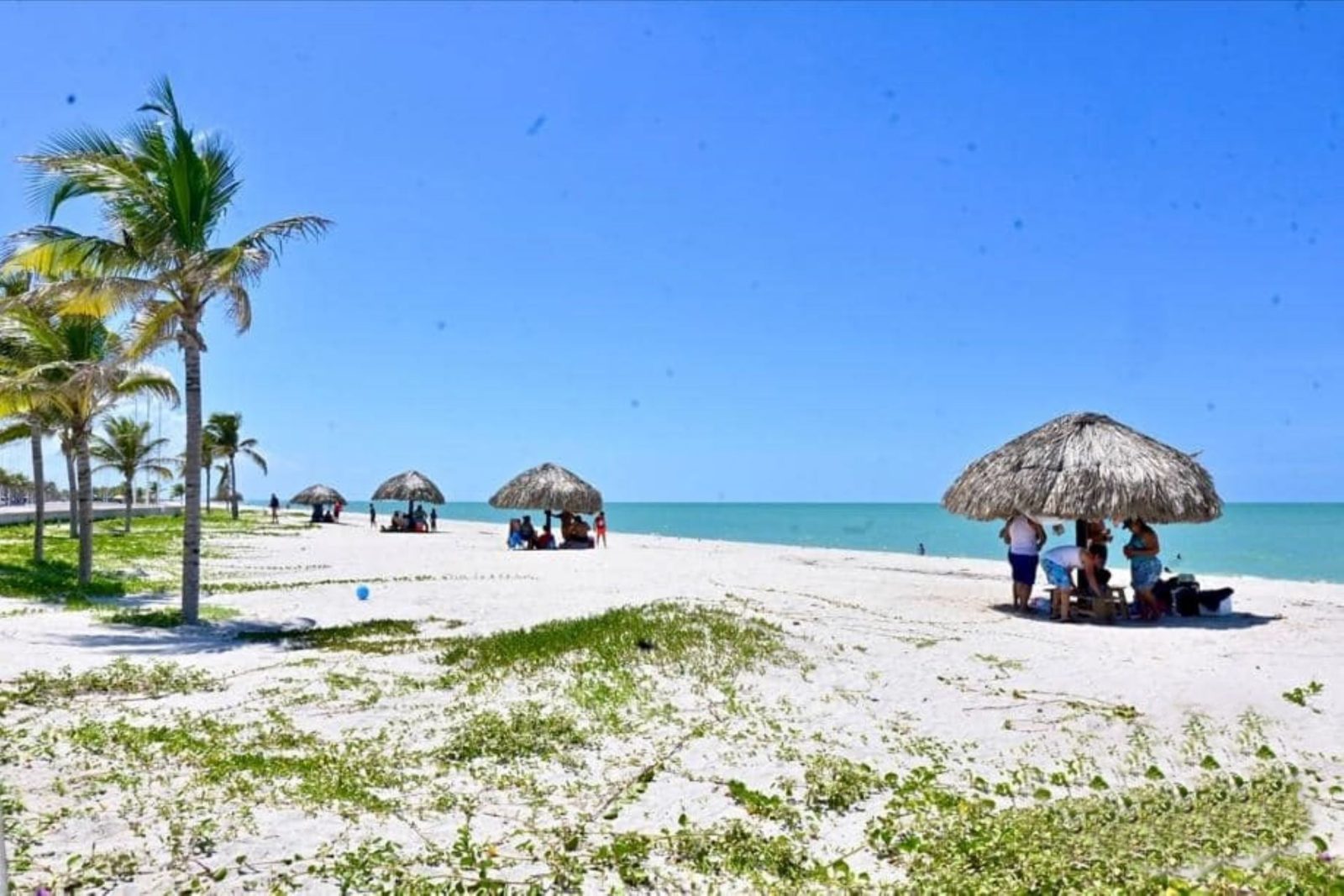 Plan municipal de Sedatu para Ciudad del Carmen fuera de la realidad