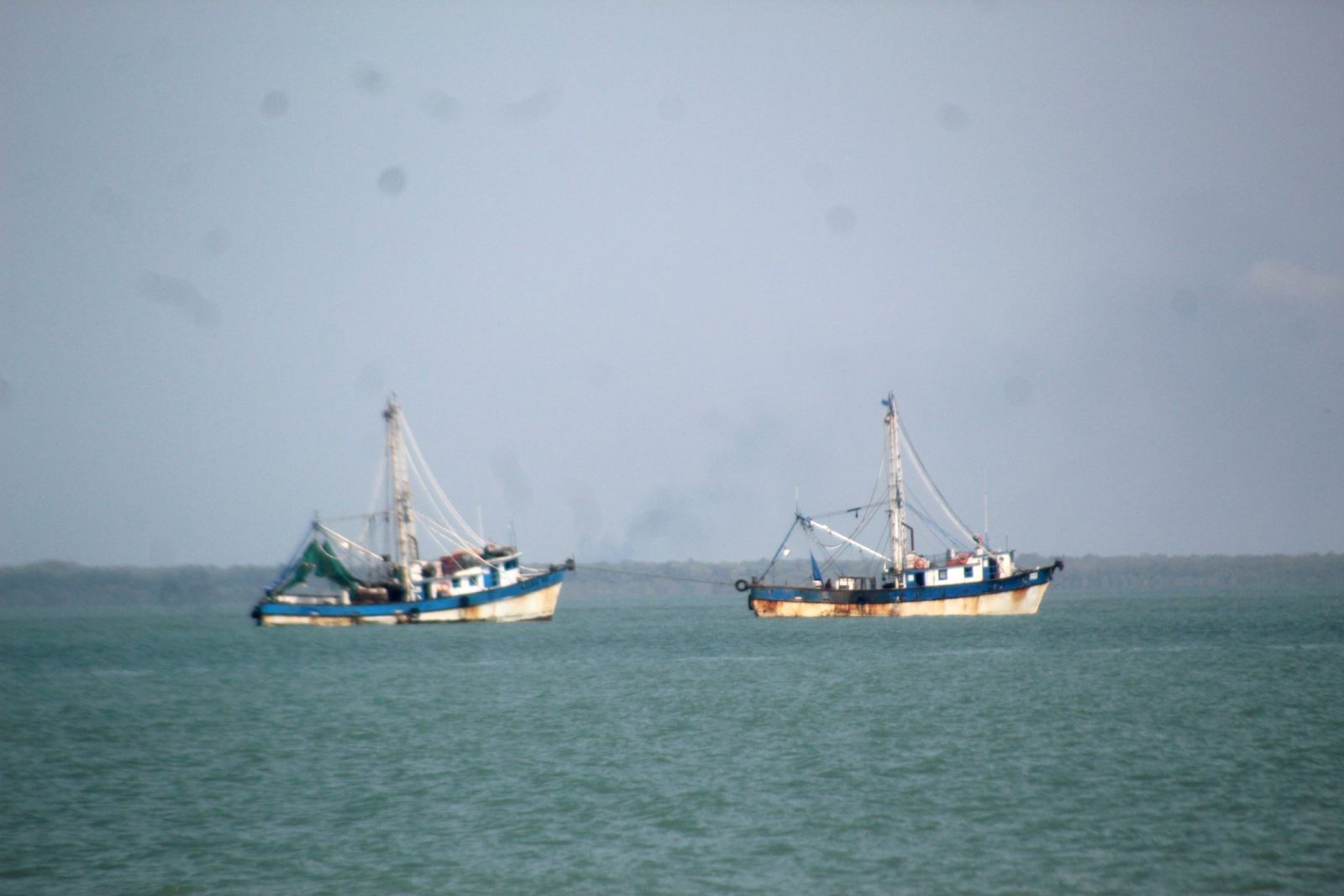 El 6 de septiembre zarparán los barcos camaroneros a Tamaulipas