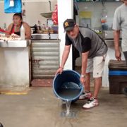 Se rebosa a diario los drenajes de aguas negras del mercado AFA