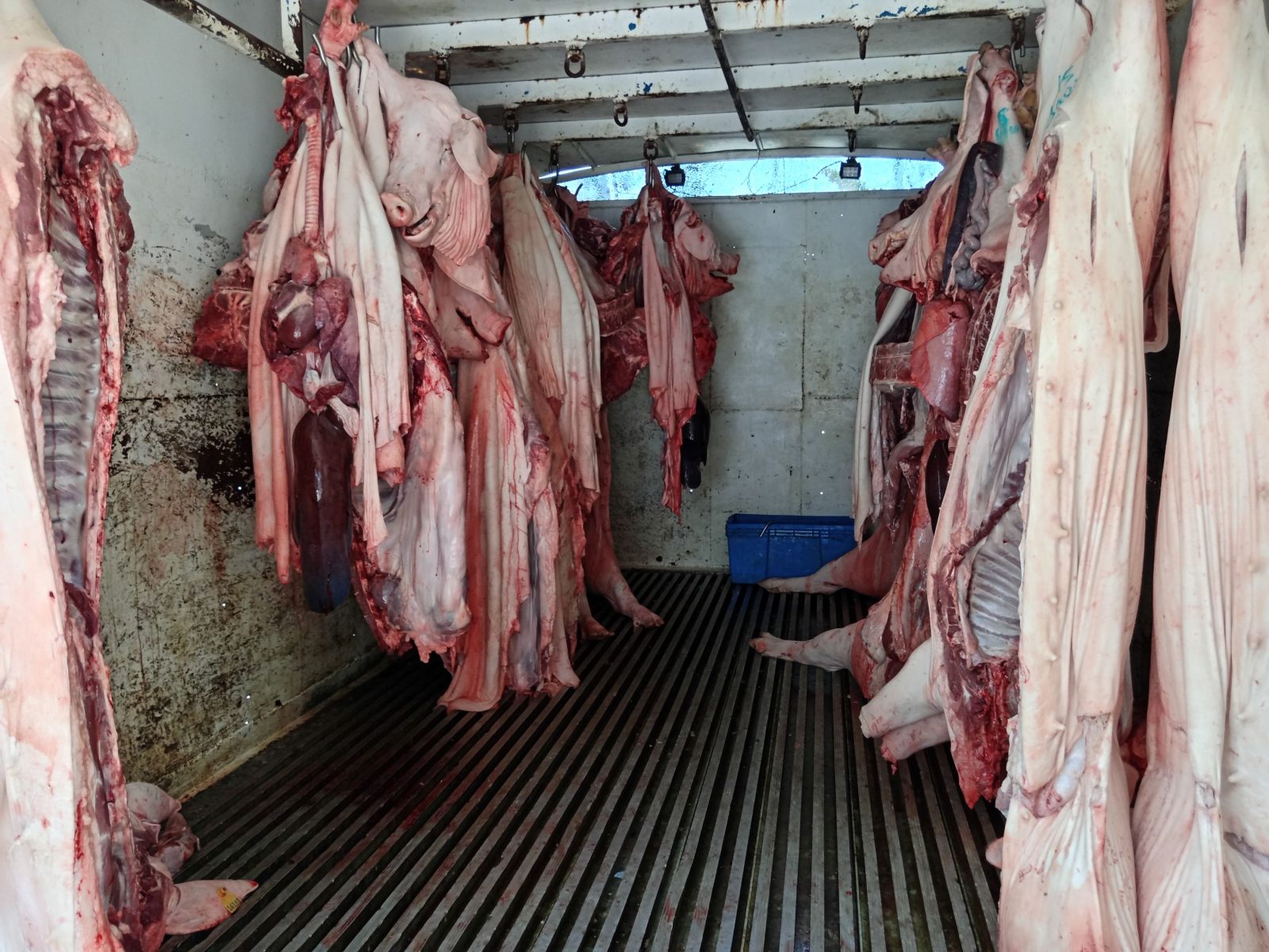 Carniceros han perdido una tonelada de carne