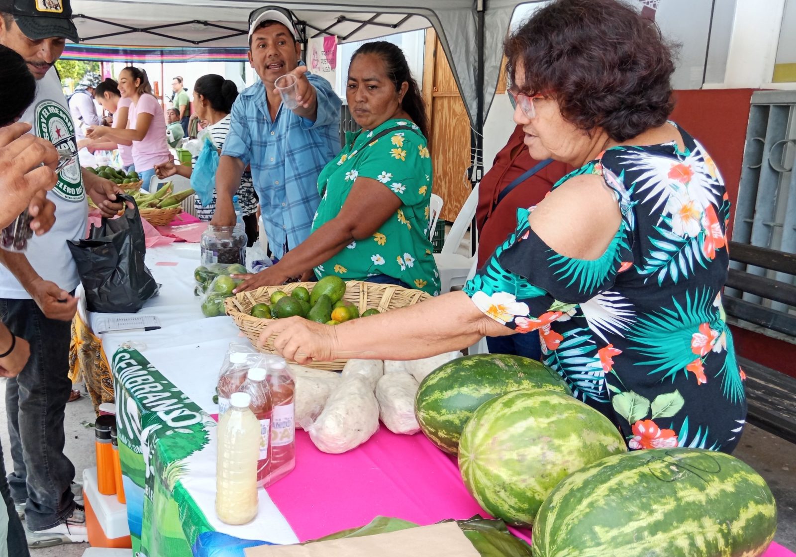 Comuna carmelita respalda a productores del campo