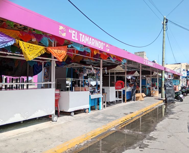 Habrá nueva directiva de Comerciantes Ambulantes de la CTM