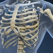 Un gel capaz de regenerar los huesos