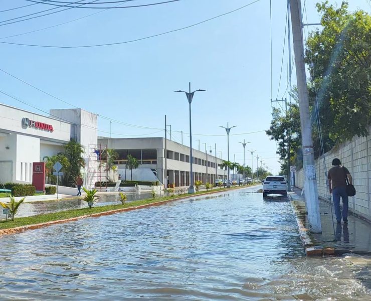 Pleamar afectó varias colonias de la Isla