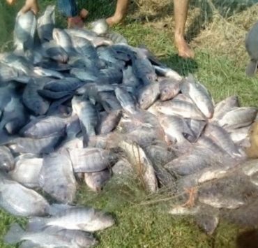 Deteriorada la actividad acuícola en la Península de Atasta