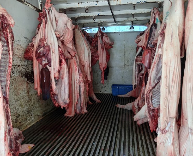 Cuarto frío del mercado se reparó con recursos de los carniceros