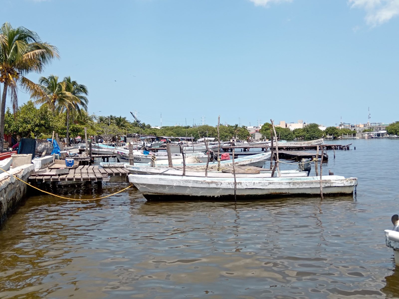 Desacuerdo por el cambio de proveedor de motores fuera de borda