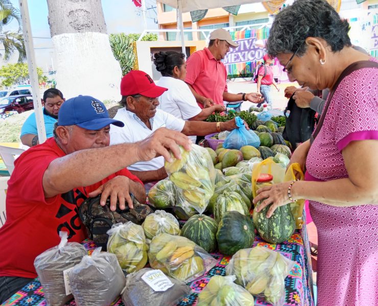 Tianguis Campesino favorece a productores del campo
