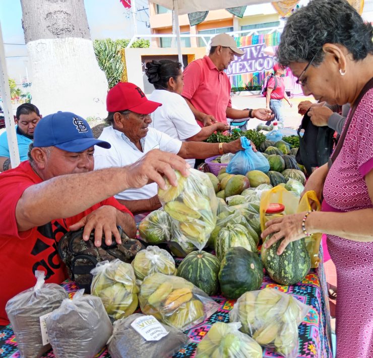 Tianguis Campesino favorece a productores del campo