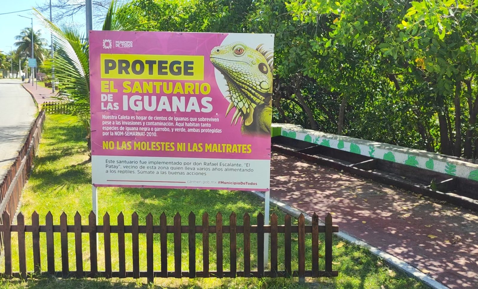 Mejoran espacio en Santuario de Iguanas