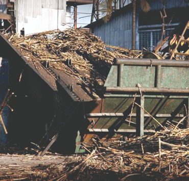 Denuncian desfalco de 185 MDP en Ingenio azucarero La Joya