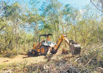 Impune acaparamiento de tierras y contaminación por las inmobiliarias