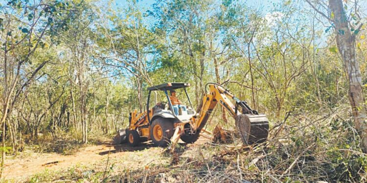 Impune acaparamiento de tierras y contaminación por las inmobiliarias