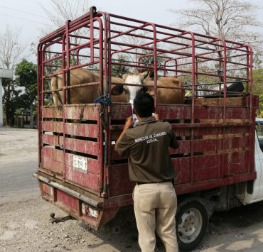 Ganaderos piden mayor control en los puntos de verificación