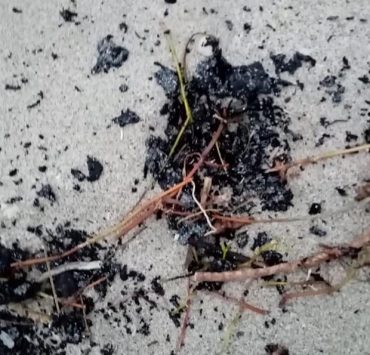 Presencia de chapopote en playas