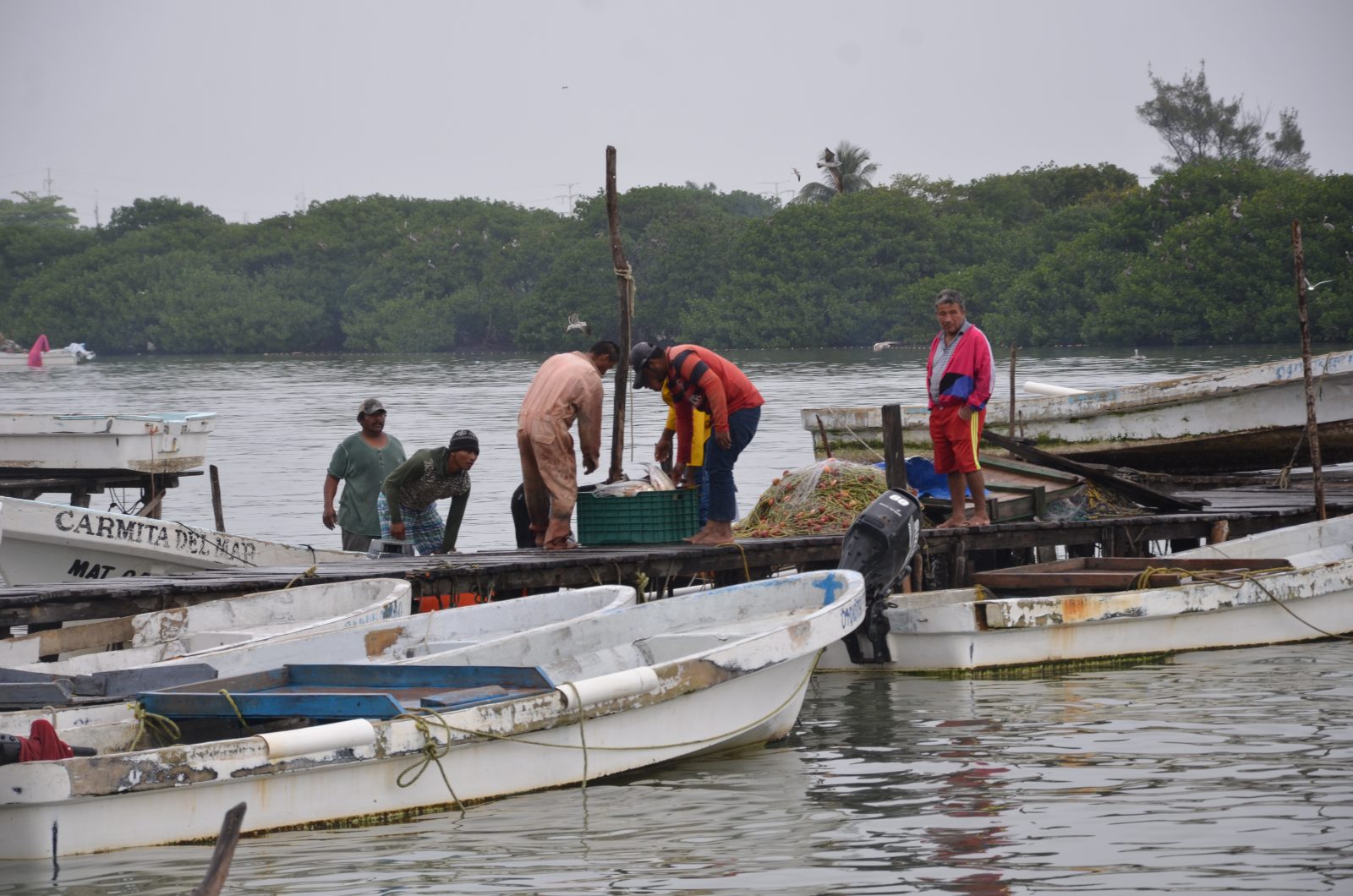 Mal tiempo afecta al sector pesquero ribereño