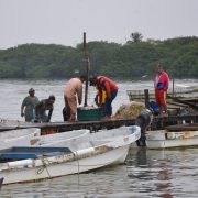 Mal tiempo afecta al sector pesquero ribereño