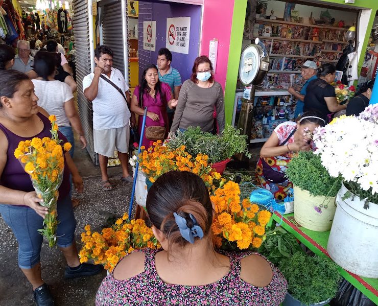 Se espera un incremento en el precio de las flores en esta temporada