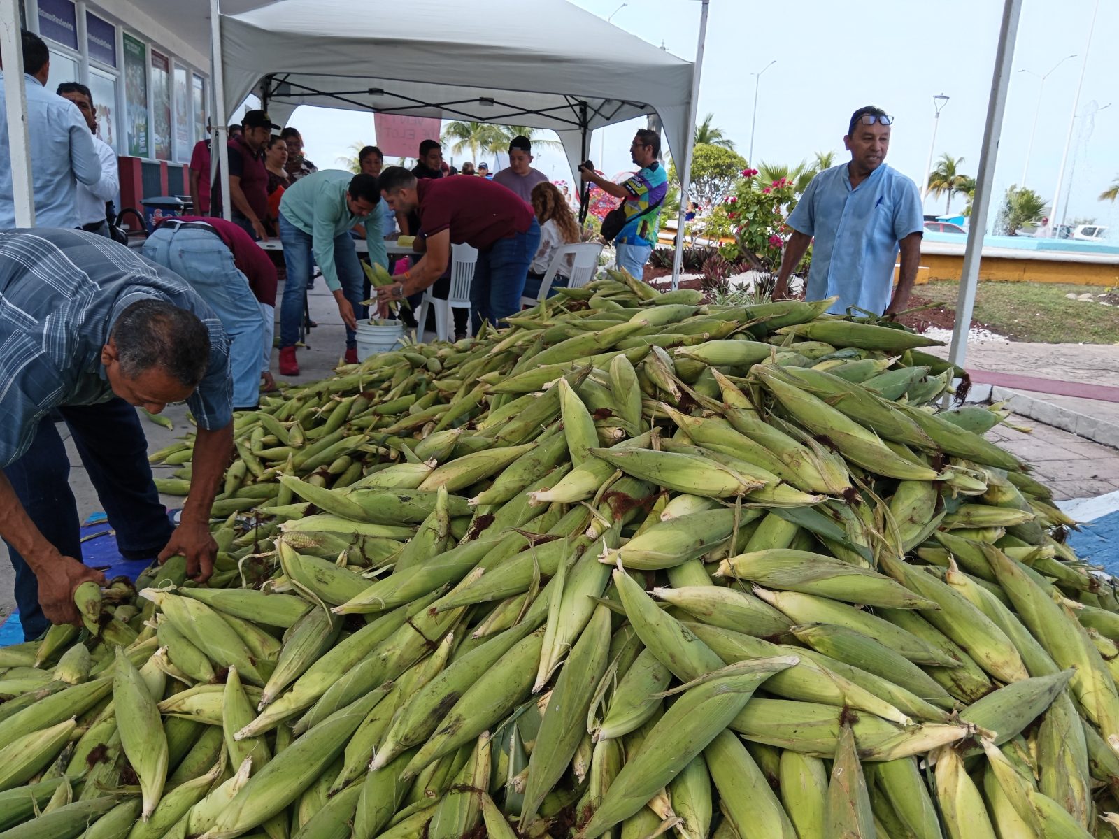 Proyectarán centros de acopios para frutas y verduras