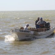 Crecientes afectan la producción ostionera