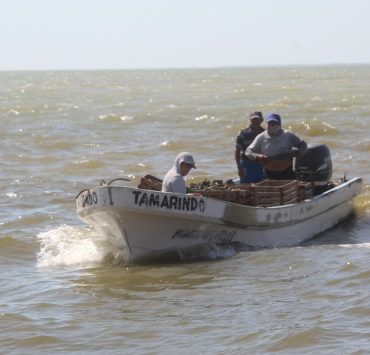 Crecientes afectan la producción ostionera