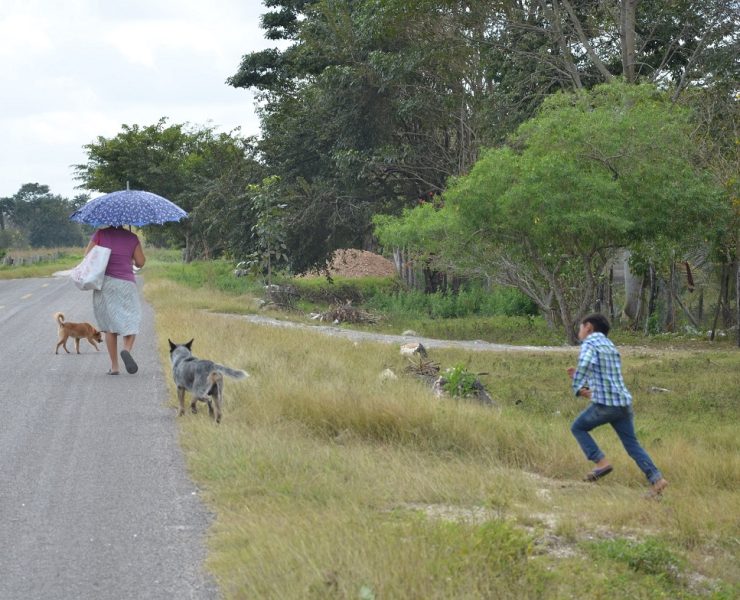 Pueblos originarios no quieren seguir siendo ciudadanos de tercera