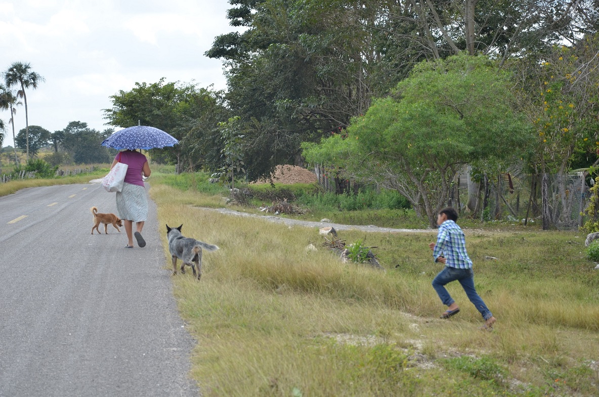 Pueblos originarios no quieren seguir siendo ciudadanos de tercera