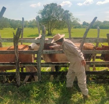 SINIIGA y SAGARPA realizan negocio redondo con el aretado de ganados