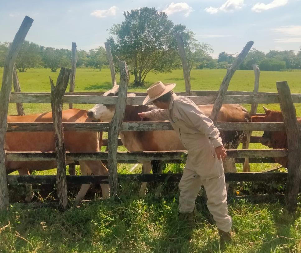 SINIIGA y SAGARPA realizan negocio redondo con el aretado de ganados