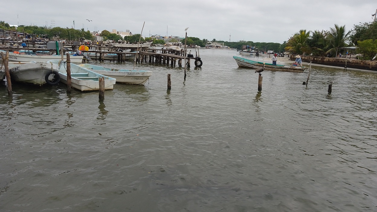 Mal tiempo y pesca baja afecta al sector ribereño