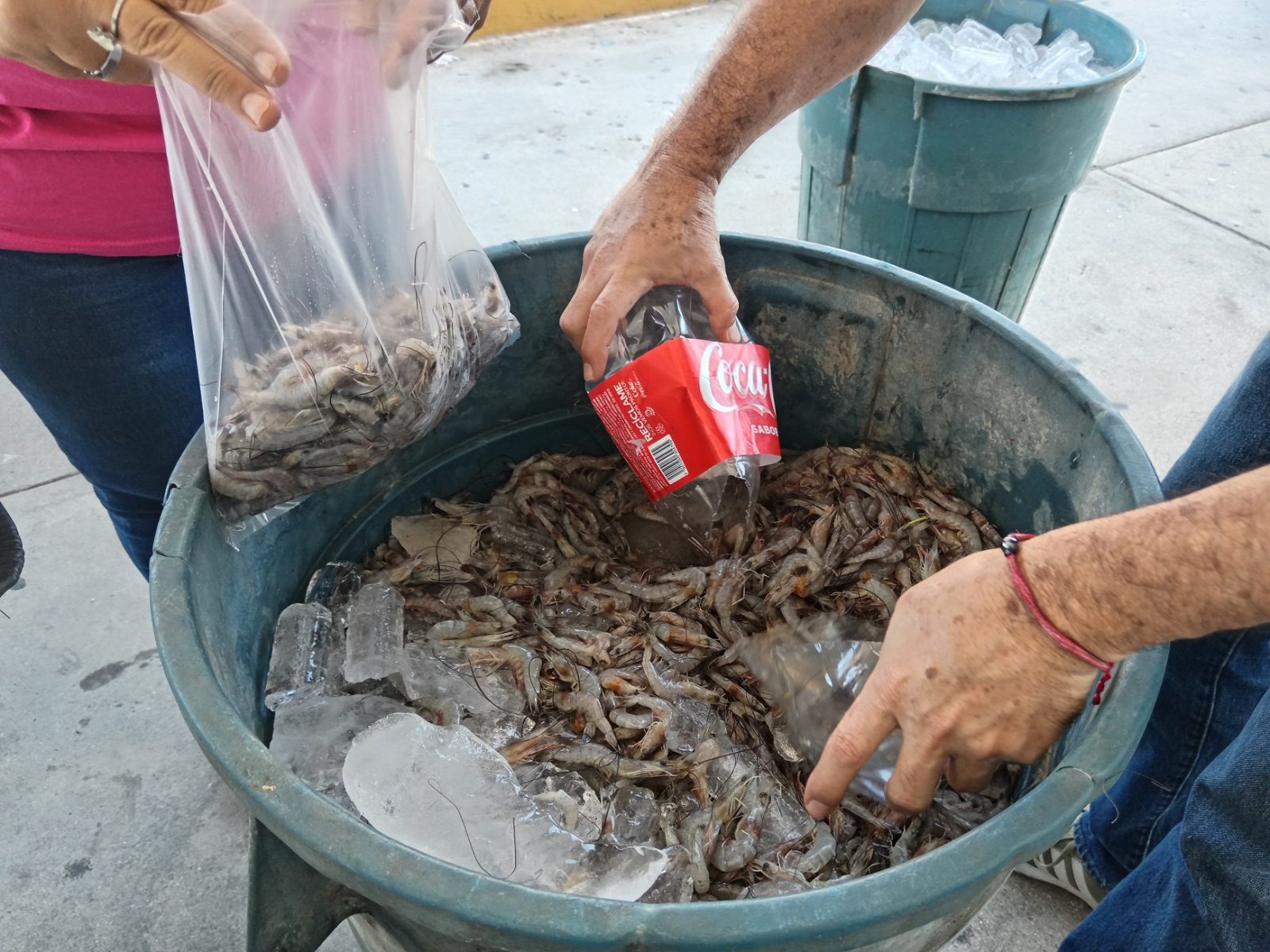 Pescadores ribereños apenas logran recuperar inversiones