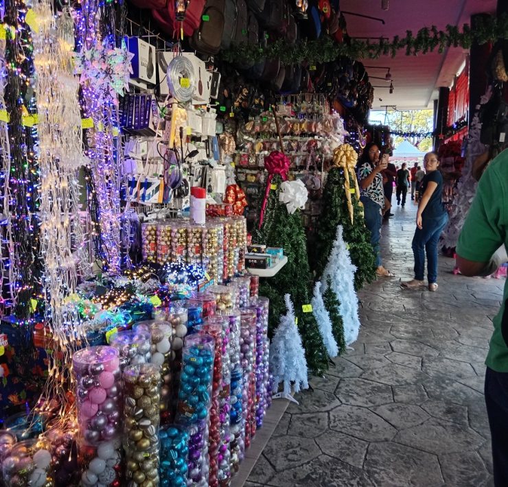 Comercios locales en riesgo de no recuperar la inversión