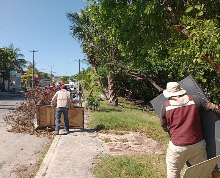 Inconciencia ciudadana