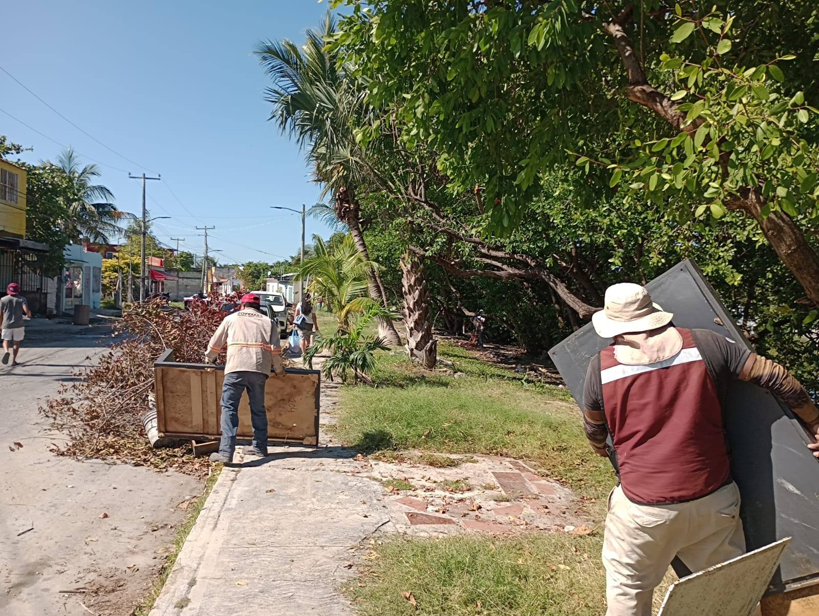 Inconciencia ciudadana