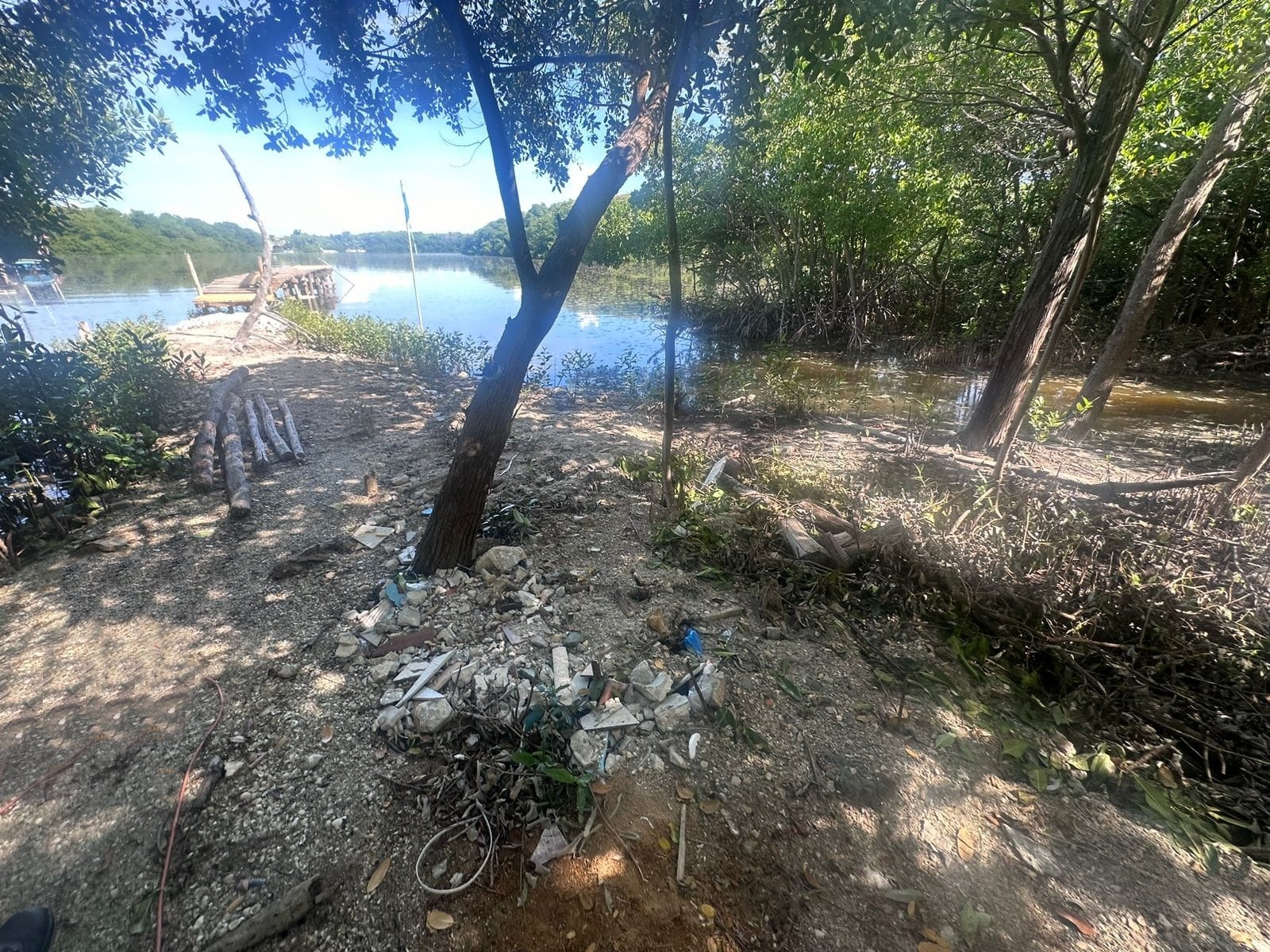 Leyes ambientales sin aplicar en Campeche