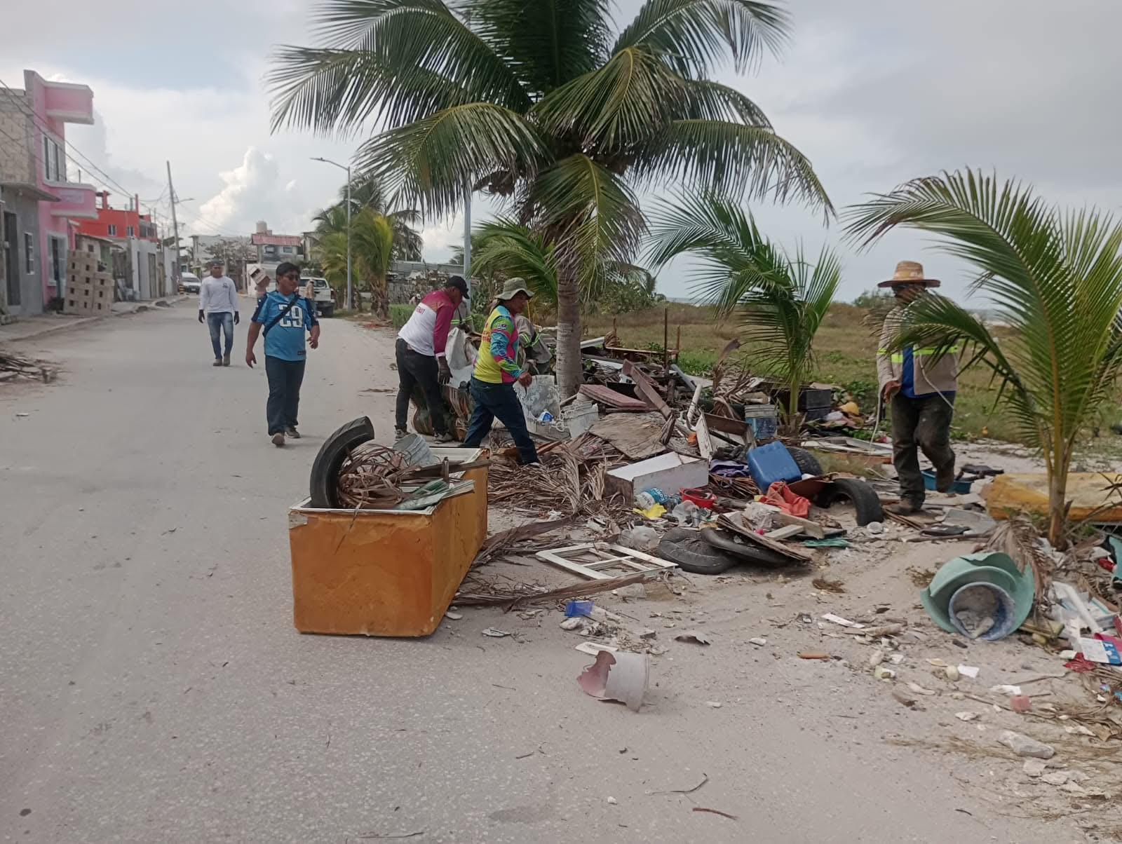 Zofemat ha levantado toneladas de desechos