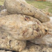 Atastecos comercializaron pulpa de jaiba en Ciudad del Carmen