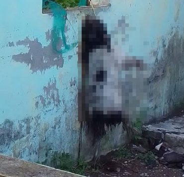 Inicia investigación contra mataperro de Palizada