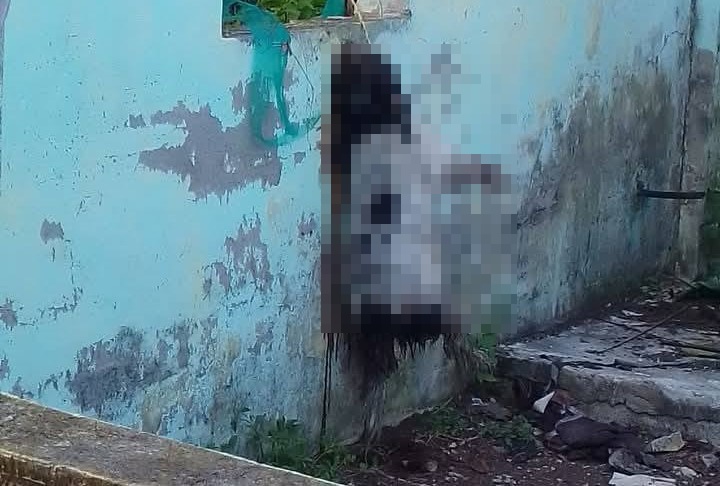 Inicia investigación contra mataperro de Palizada