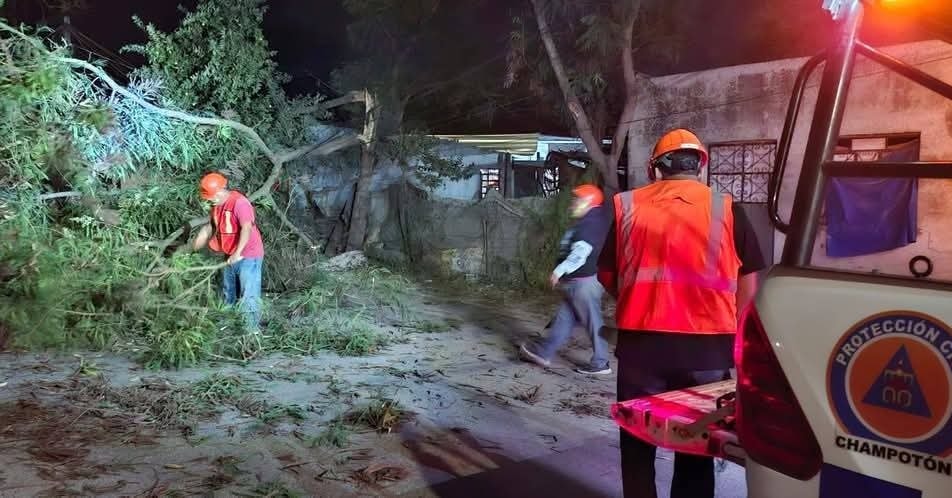 Frente Frío número 24 deja afectaciones en el municipio de Carmen