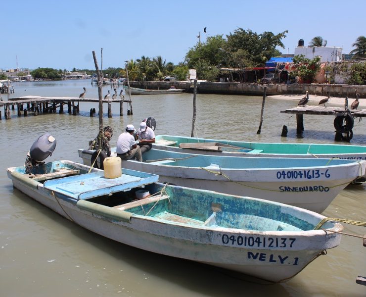Frentes fríos afecta la actividad pesquera