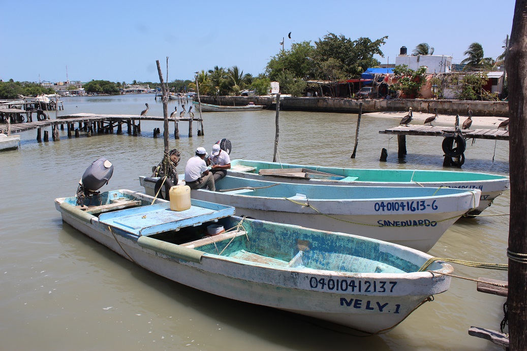 Frentes fríos afecta la actividad pesquera