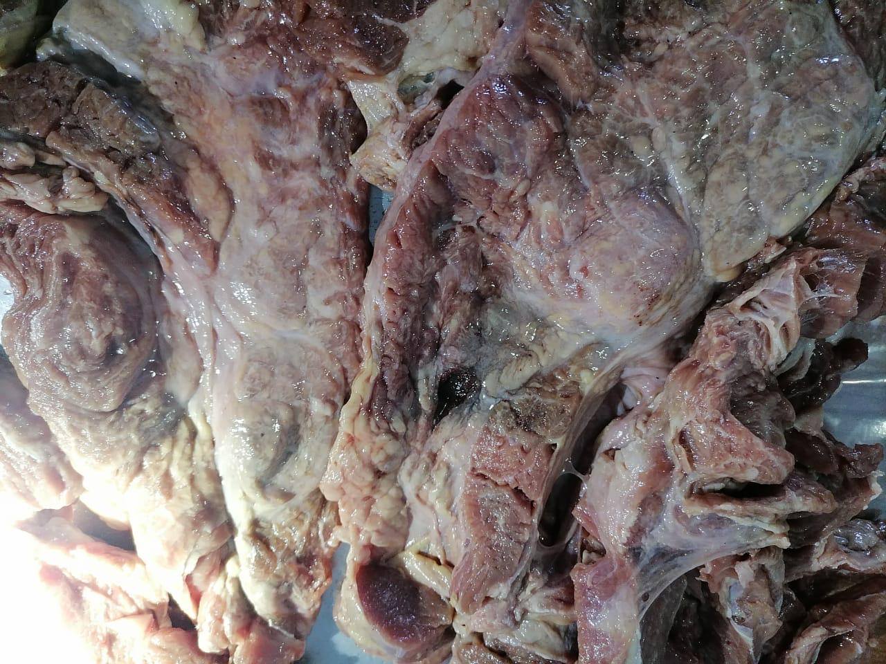 Petroleros de Pol Alfa continúan en huelga de hambre