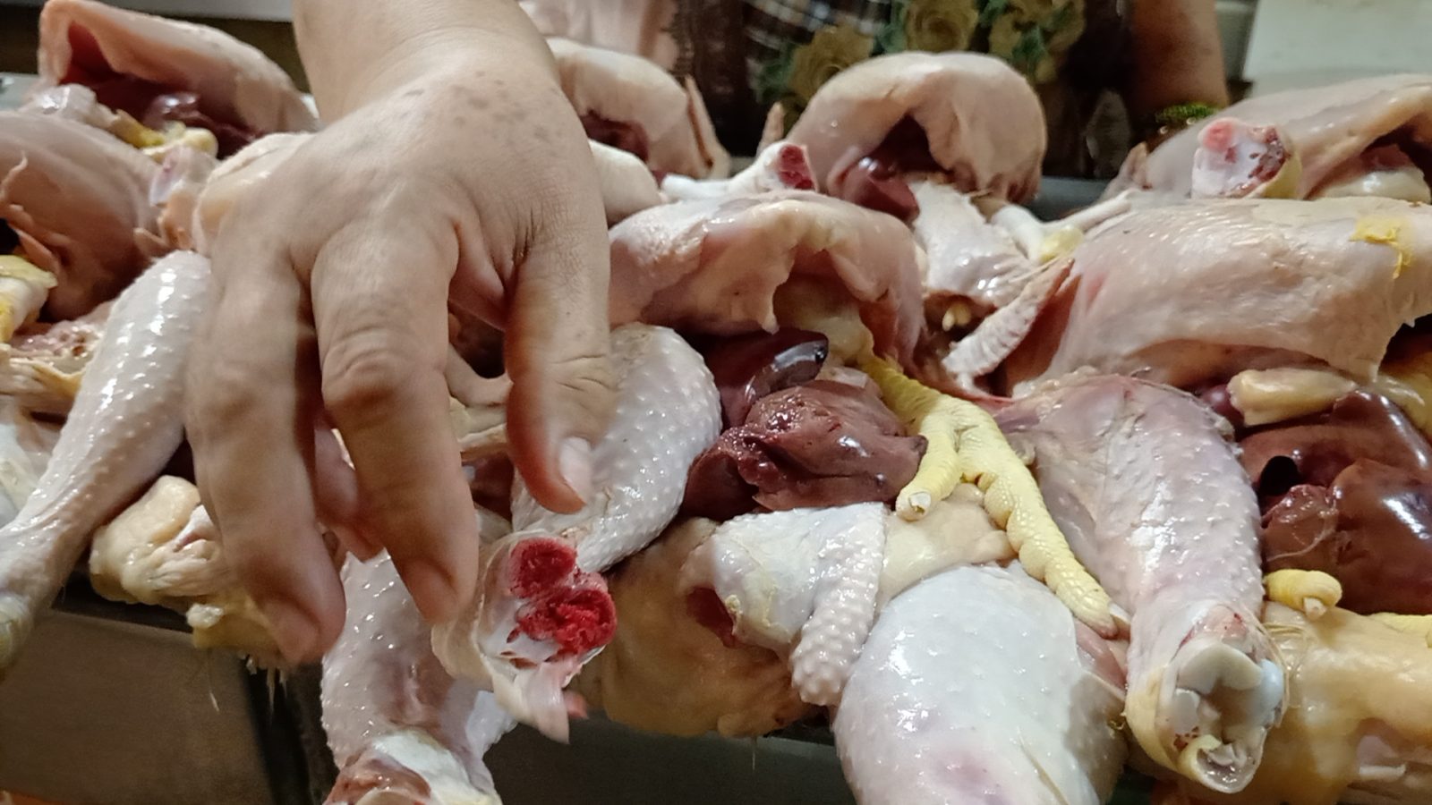 Riesgo para la salud comprar y consumir pollos a comercios ambulantes