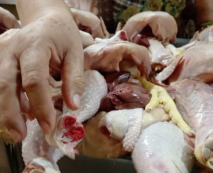 Riesgo para la salud comprar y consumir pollos a comercios ambulantes