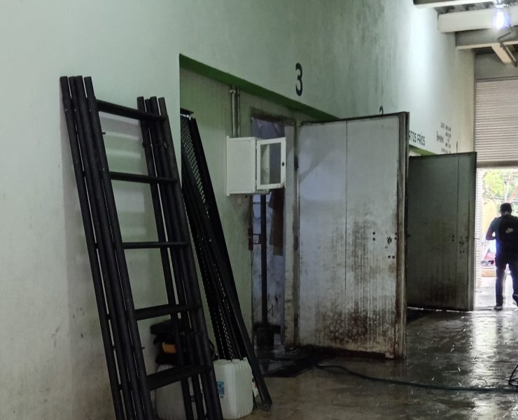 Descuidan mantenimiento a los cuartos fríos del mercado AFA