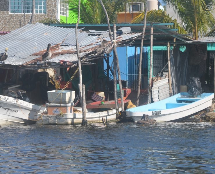 Sector pesquero ribereño organizado podría desaparecer
