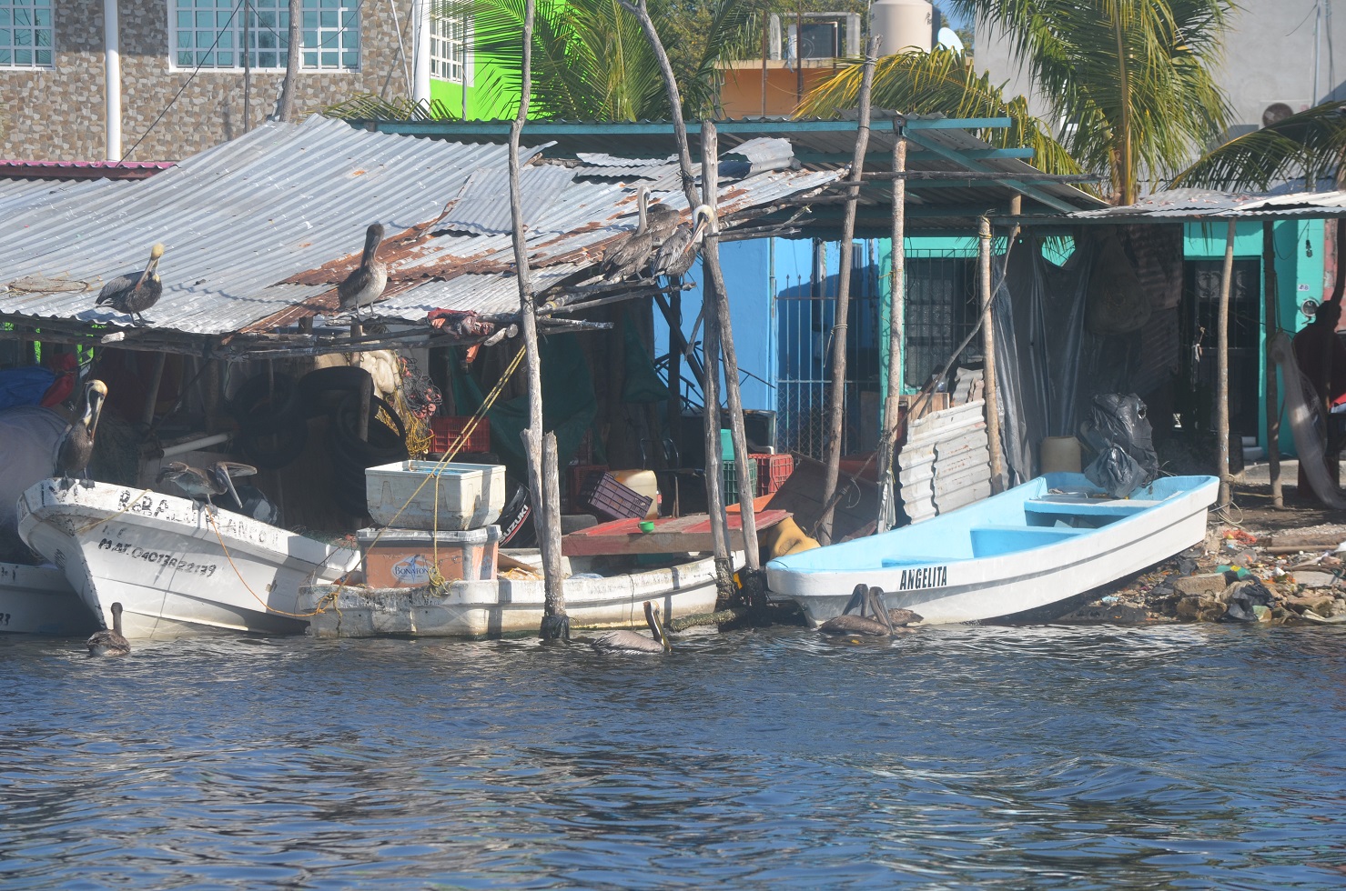 Sector pesquero ribereño organizado podría desaparecer
